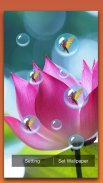 Lotus Live Wallpaper screenshot 2