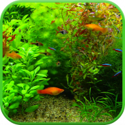 Real Aquarium 3D Wallpaper screenshot 0