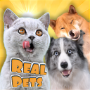 Cães e Gatos: Tamagotchi Icon