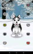 Talking Siberian Husky screenshot 1