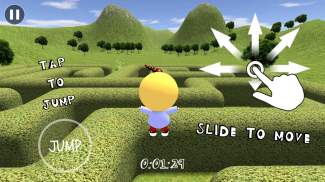Labirinto 3D screenshot 0