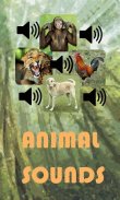 Animal Sounds screenshot 0