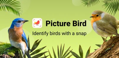 Picture Bird - Bird Identifier