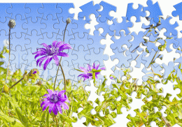 Jigsaw Puzzles - puzzle games screenshot 6