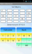 Matrix Determinant Calculator screenshot 3