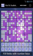 16x16 Sudoku Challenge HD screenshot 5