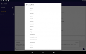 ScoutLink IRC screenshot 1
