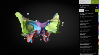 Anatomyka - 3D Anatomy Atlas screenshot 1