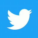 Твиттер Icon