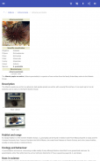 Sea urchins screenshot 12