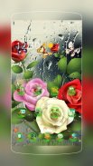 Drop Roses screenshot 0