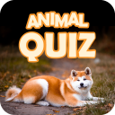 Guess Animal Image Quiz 2021