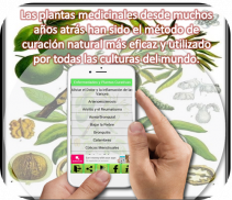 Plantas Medicinales screenshot 1