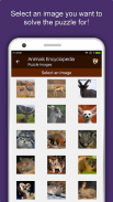 Animal Encyclopedia Offline screenshot 13