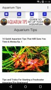 Aquarium Tips - Guide To Set Up Your Aquarium screenshot 3