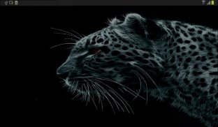 Leopard screenshot 0