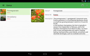 Plants Diary screenshot 4