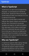 Typescript language screenshot 2