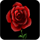 Rose GIF Icon