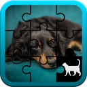 Dog Jigsaw Puzzle