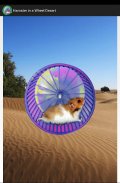 Hamster no deserto screenshot 4