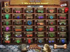 Pet Store Puppies Slots screenshot 10