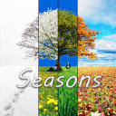 Four Seasons Wallpaper