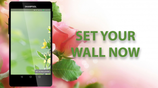 Flower live Wallpaper screenshot 5