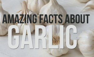 Benefits of Garlic screenshot 0