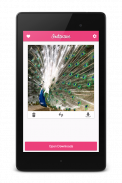 Downloader for Instagram screenshot 7