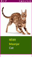 Learn Marathi Wildlife and Body Parts Names screenshot 8