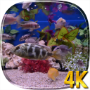 水族馆4K视频动态壁纸 Icon