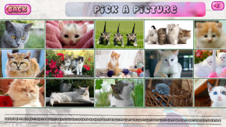 Puzzles of Kittens Free screenshot 2