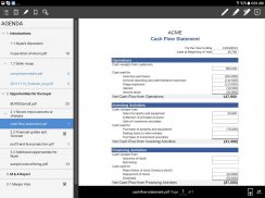 Board Papers - Board Portal screenshot 6