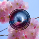 Haru Camera - Efectos de Prima Icon