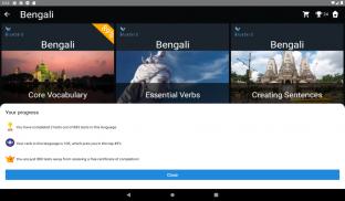 Bengali Language Tests screenshot 11