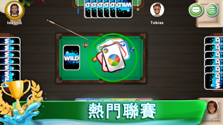 WILD & Friends 多人！纸牌游戏：让我们一起玩吧 screenshot 16