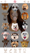 สัตว์หน้าเปลี่ยน Animal Face screenshot 1