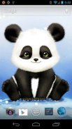 Panda Bobble Head Wallpaper screenshot 3