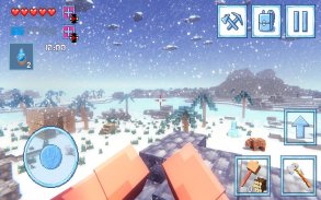 Survival 3D Winter Block screenshot 2
