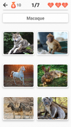 Mammals – Learn All Animals in Photo - Quiz! screenshot 6