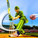 T20 Cricket Sports Game Icon