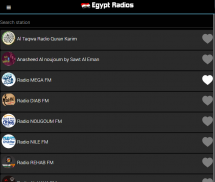 Best Egyptian radios screenshot 5