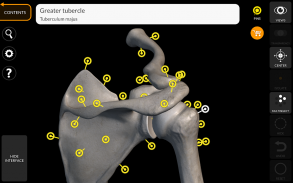 Scheletro | Anatomia 3D screenshot 0