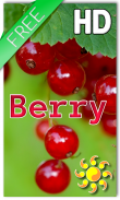 Berry Live Wallpaper screenshot 0