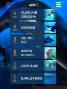 Whales of Iceland Audio Guide! screenshot 6