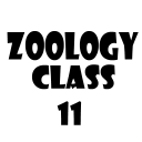 Zoology Class 11