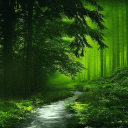 Nature Green Forest LWP Icon