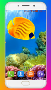 Aquarium Wallpaper HD screenshot 13