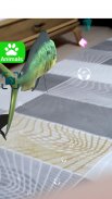 AR 3D Animals screenshot 10